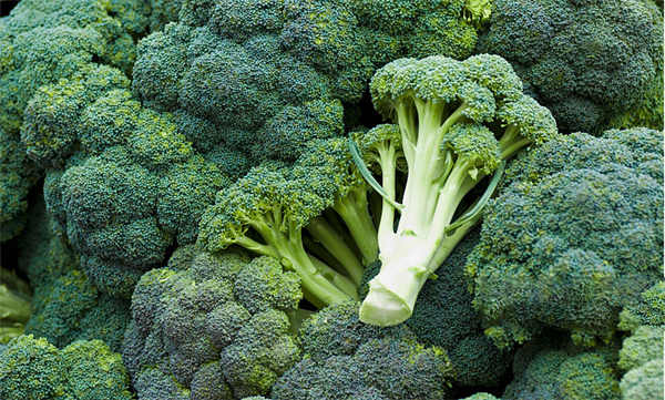 Broccoli Seed Extract.jpg