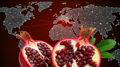 Elevating Global Sales of Best Pomegranate Extract through Chinese Manufacturing Excellence