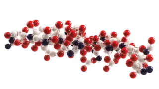 Exploring the Versatile Applications of Nicotinamide Adenine Dinucleotide Hydrate in Industry