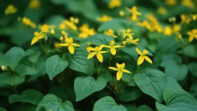 Unlocking Quality: How to Source the Best Epimedium Extract Suppliers for Your Business