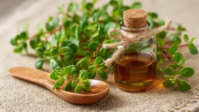 What is Rhodiola Rosea Extract and How It Benefits Mental Performance
